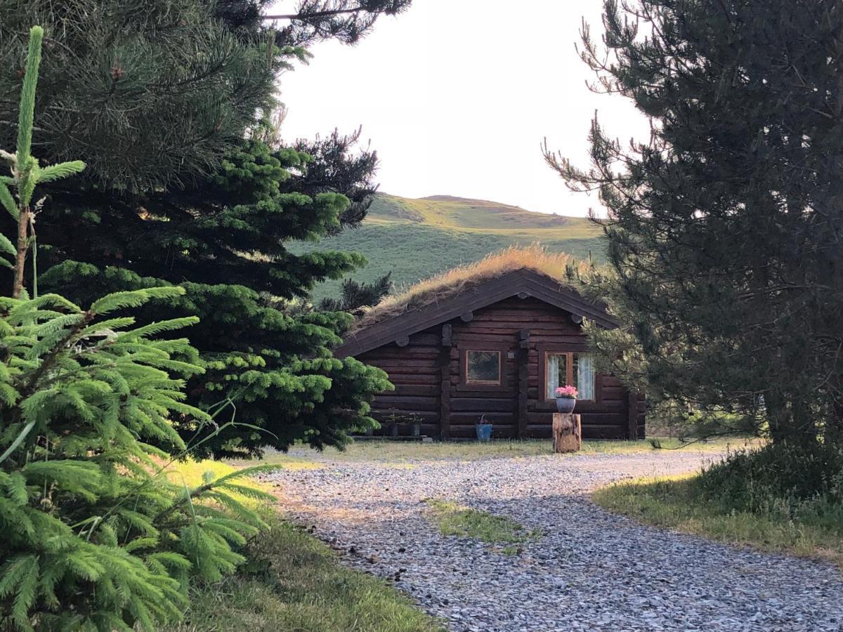 Log home village Ulverston Eksteriør billede
