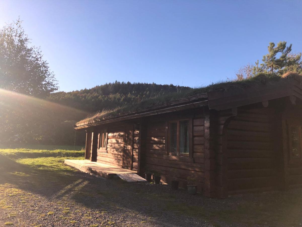 Log home village Ulverston Eksteriør billede