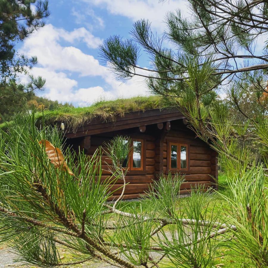 Log home village Ulverston Eksteriør billede