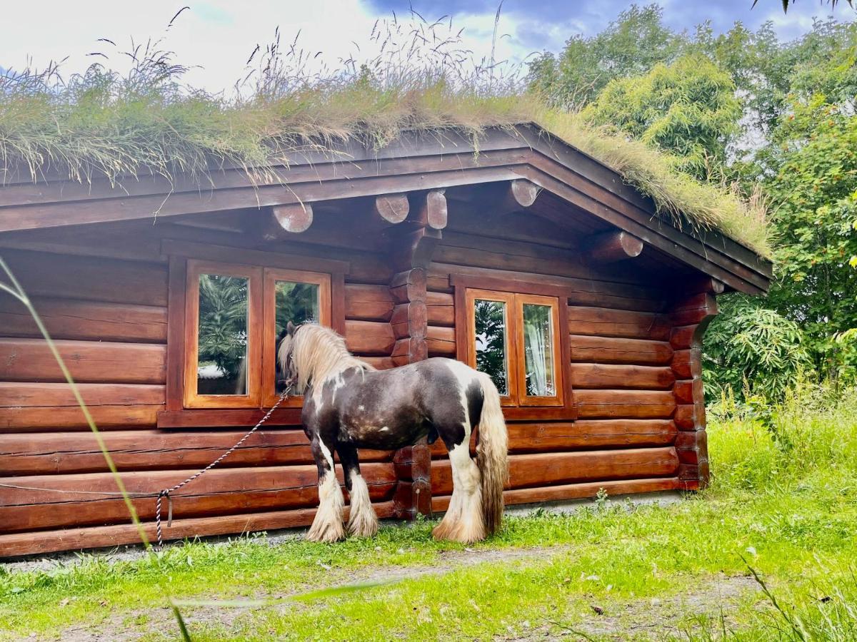 Log home village Ulverston Eksteriør billede